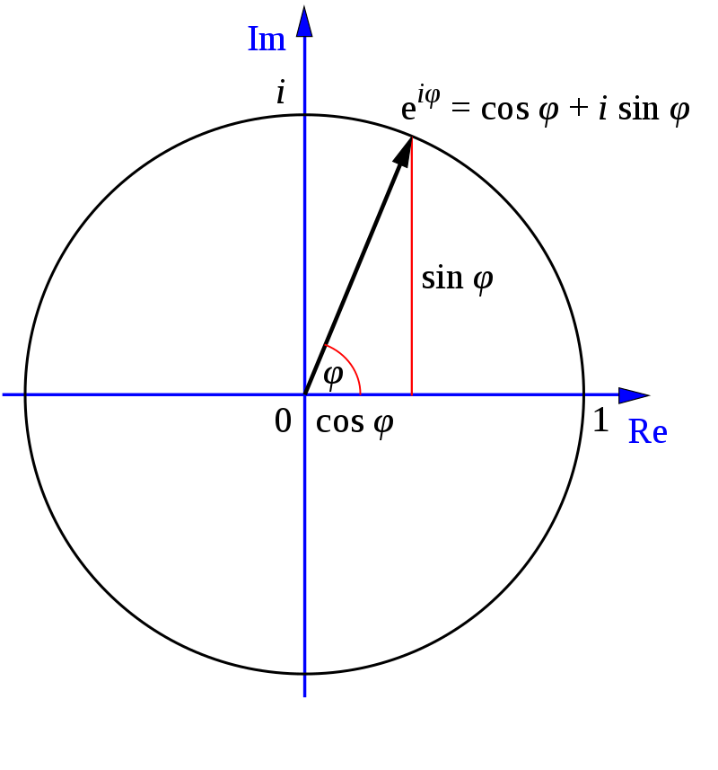 Формула Эйлера. Источник: Wikimedia Commons