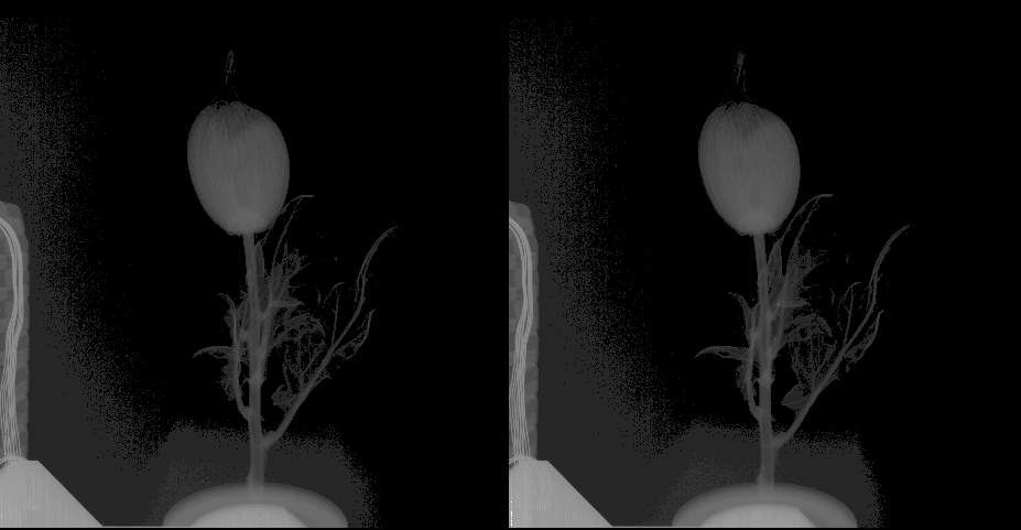 Стереопара цветка розы по двум проекциям