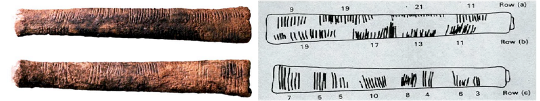 Кость Ишанго. Изготовлена около 10 000 лет назад. Часть ученых считает ее одним из первых инструментов для арифметических расчетов. 