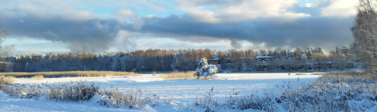 Превью картинка (фото сделано мной зимой 2022 года в Вуосаари - зимняя природа в Финляндии очень живописная)