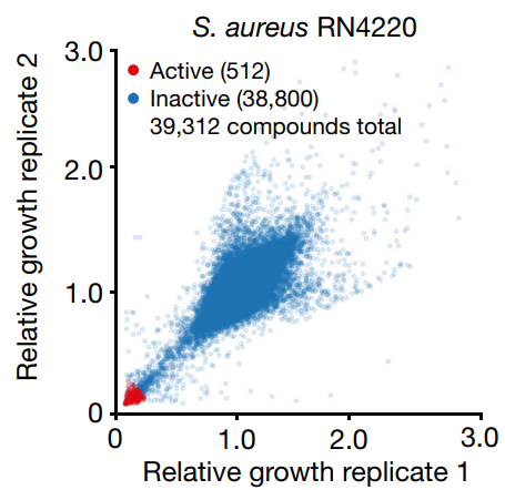 Непосредственно данные по ингибированию роста S. aureus RN4220, полученные в результате анализа при конечной концентрации 50 мкМ. Данные получены в двух биологических репликах. Активные соединения – те, для которых средний относительный рост составляет менее 0,2.