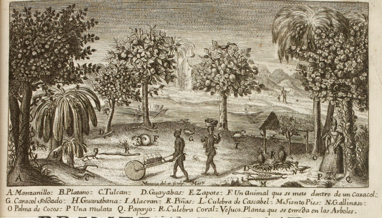 Сельская жизнь в коррхимьенто Кито. Округ (коррехимьенто) Кито. Из отчета Хуана и Ульоа, 1748