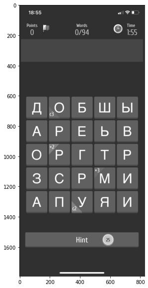 Рис. 10 Пример скриншота игры после конвертации в черно-белый формат