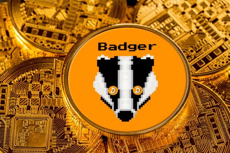 Разработчики финансовой платформы BadgerDAO просят хакеров вернуть украденные 0 млн