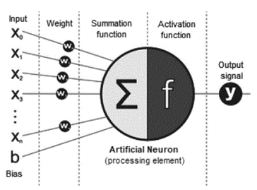 Схема отдельного нейрона.