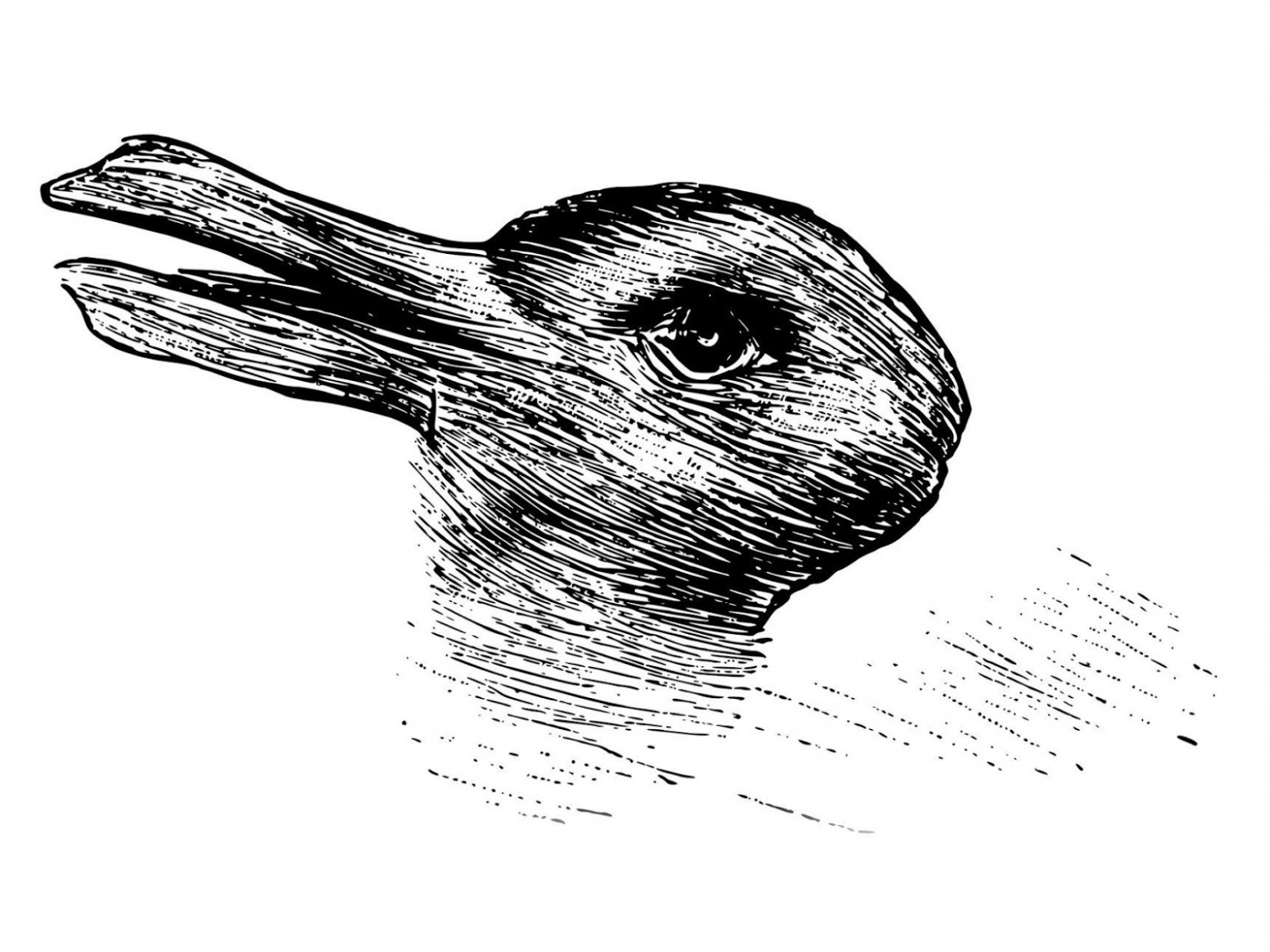 Когнитивные психологи в середине ХХ века использовали это изображение, которое может выглядеть как утка или кролик, чтобы изучать человеческое восприятие.