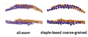 Сравнение полноатомного представления по сравнению с крупнозернистым на одном белке BAR-домена