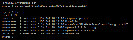 在具有嚴重漏洞 OpenSSL 0.9.8 CVE-2008-0166 的早期版本的 Bitcoin Core 上搜索 BTC 硬幣