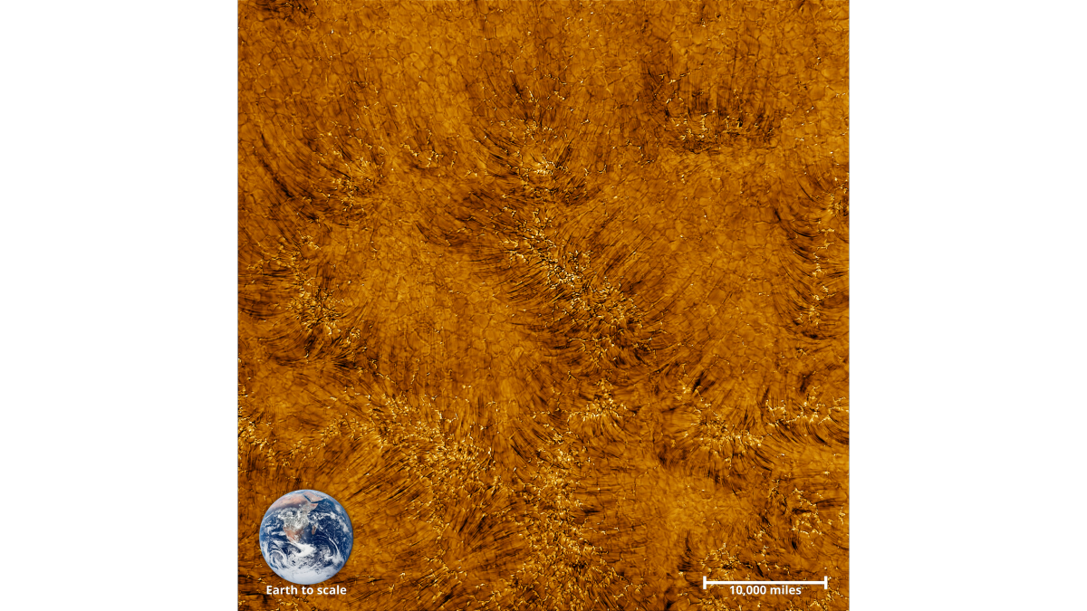 Изображение DKIST хромосферы в сравнении с изображением Земли для обозначения масштаба / NSO / AURA / NSF