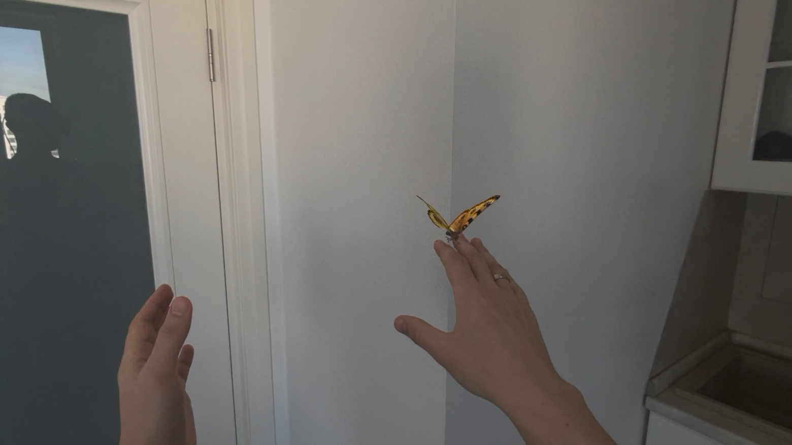 Отслеживание рук в приложении Encounter Dinosaurs, бабочка садится на руку