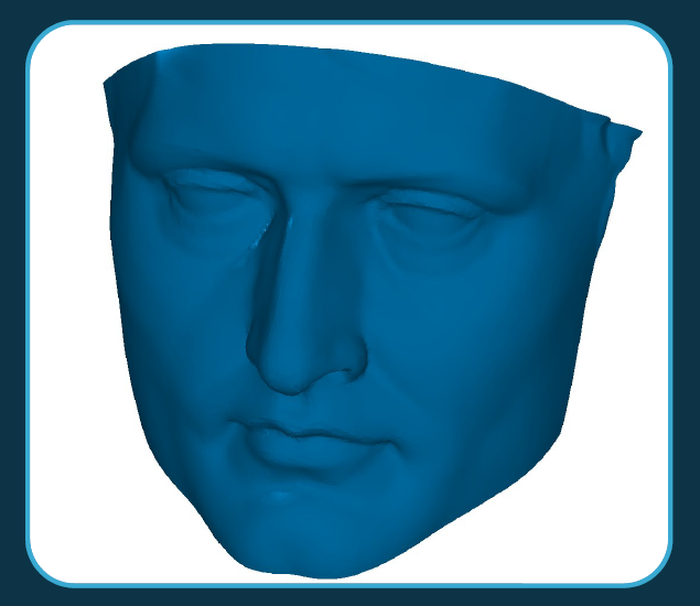 Сеточная модель лица Наполеона