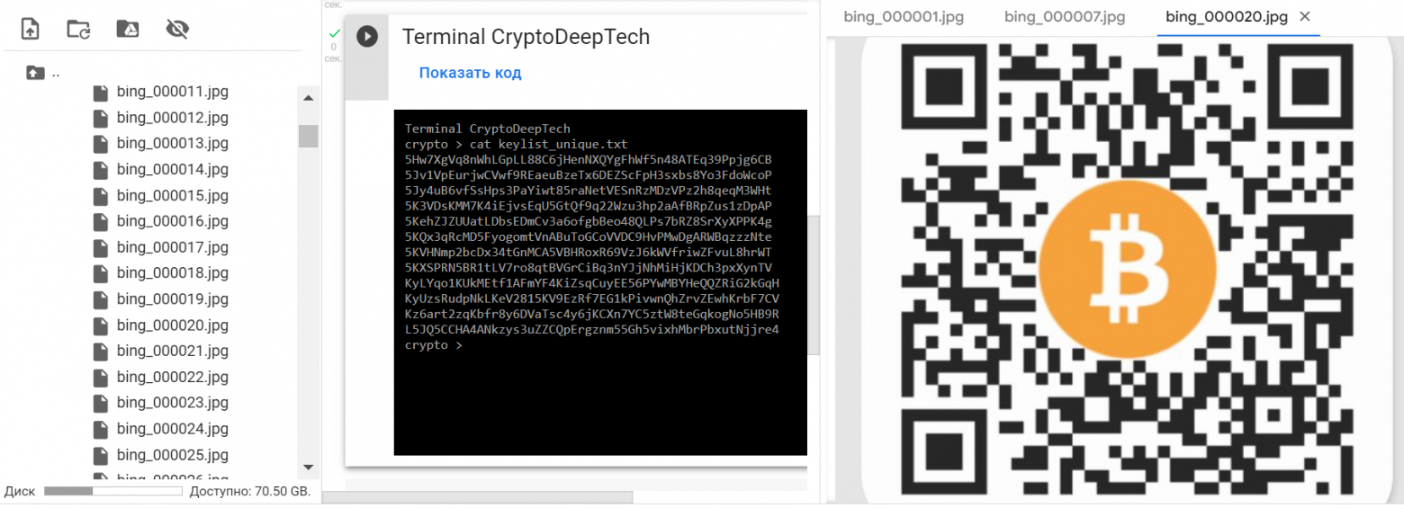 MrRobotQR scan QR codes from search engines in search of private keys of Bitcoin Wallets