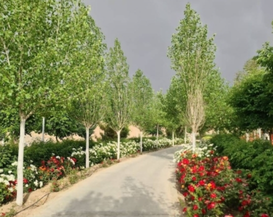 парк на горе в Куме