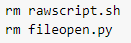 Delete scripts fileopen.py // rawscript.sh