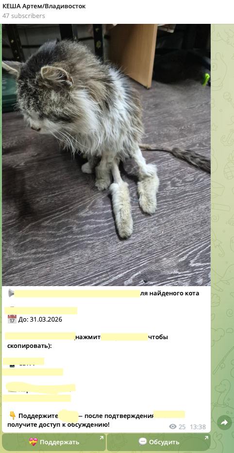 это Кеша - реальный пост сделанный ботом