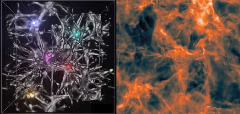 Слева — структура ранней Вселенной (200 млн лет после Большого взрыва): серым показана темная материя, яркие точки — формирующиеся звезды. Справа — движение первичного газа в гало темной материи. Источник