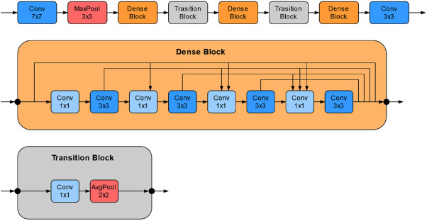 Схема DenseNet для гистологического изображения (https://www.sciencedirect.com/science/article/pii/S1361841523000166)