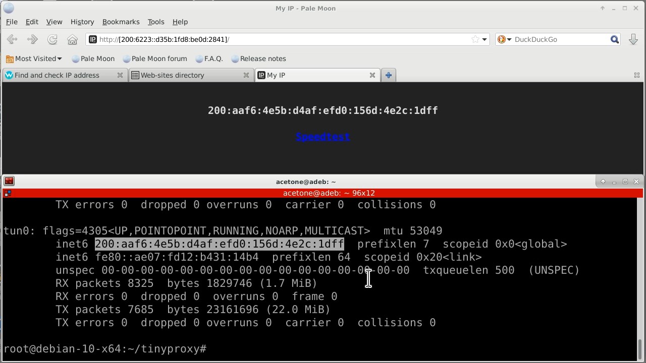 В браузере отображается адрес IPv6 Yggdrasil, который принадлежит прокси-серверу