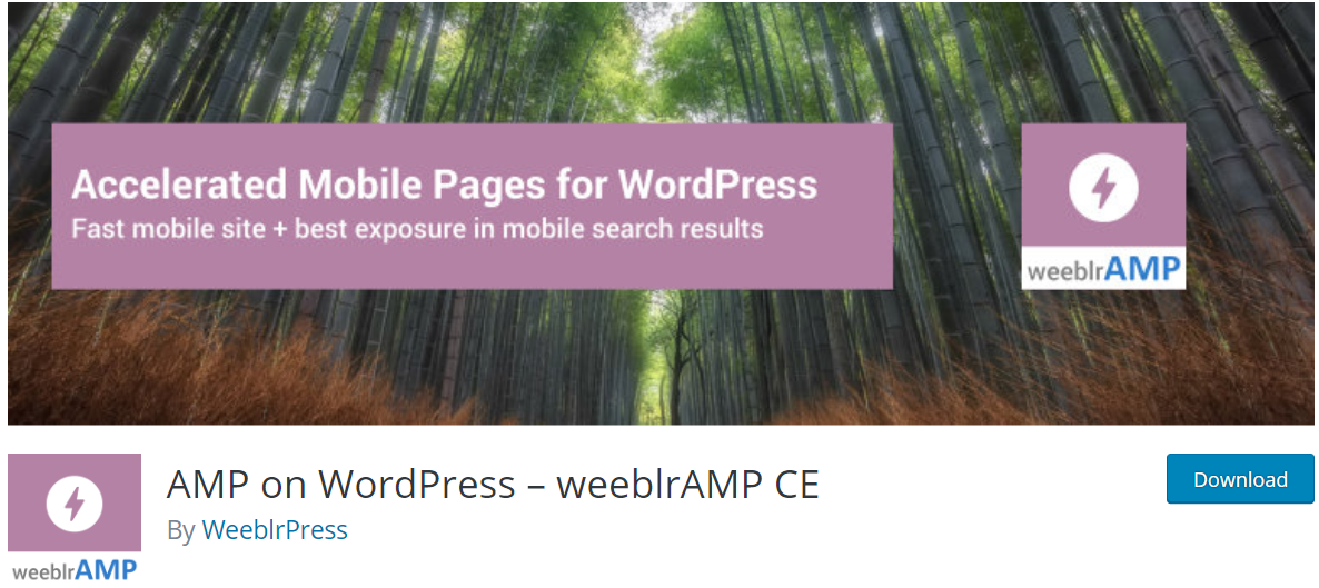 wordpress seo plugins 2019 - AMP on WordPress