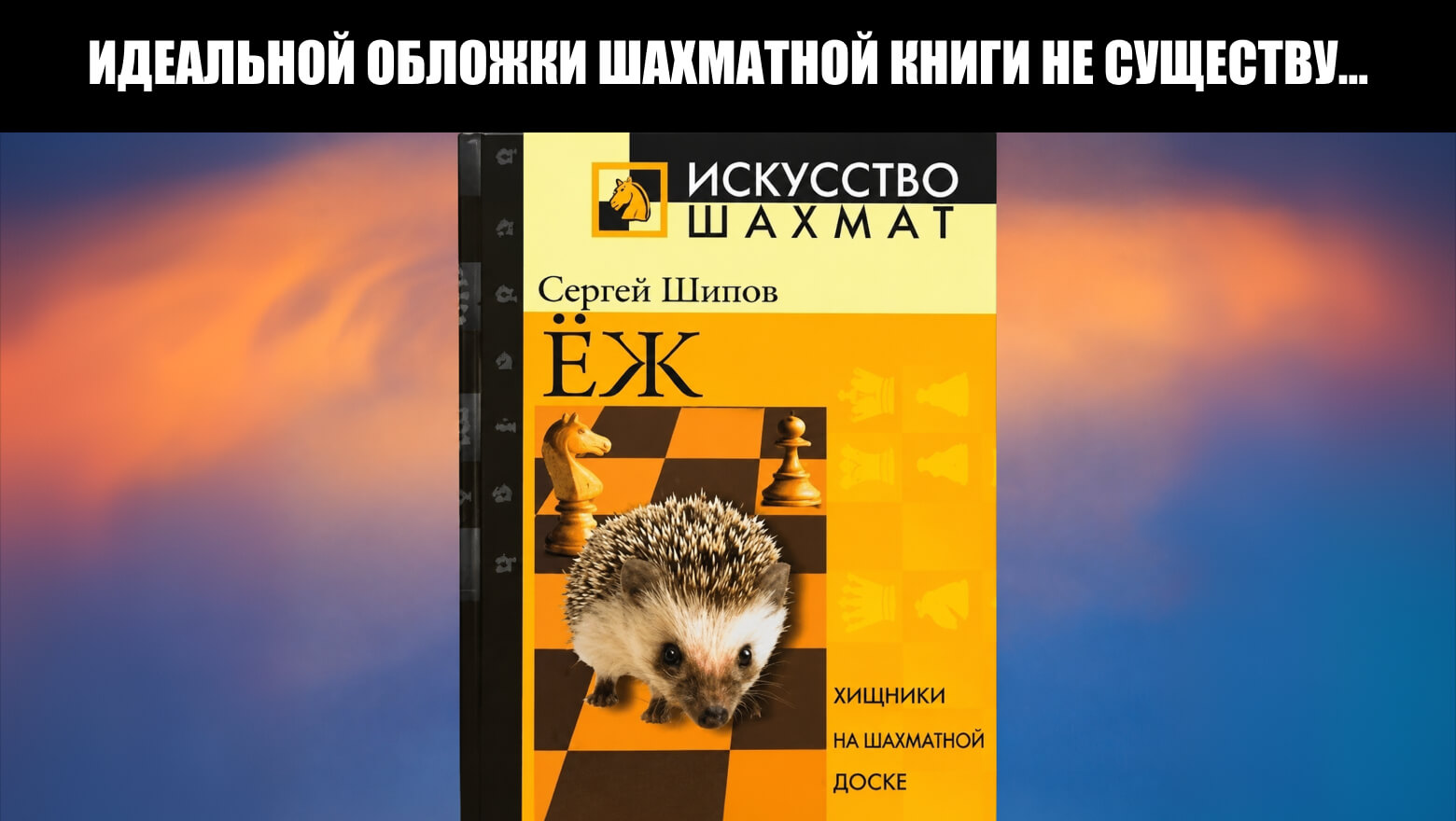 Книга далеко не обязательная, но когда-то выбрана мной из-за своей обложки того, что дает общее понимание, как играть против структуры с плотной пешечной «засадой». Книга далеко не обязательная, но когда-то выбрана мной из-за своей обложки того, что дает общее понимание, как играть против структуры с плотной пешечной «засадой».
