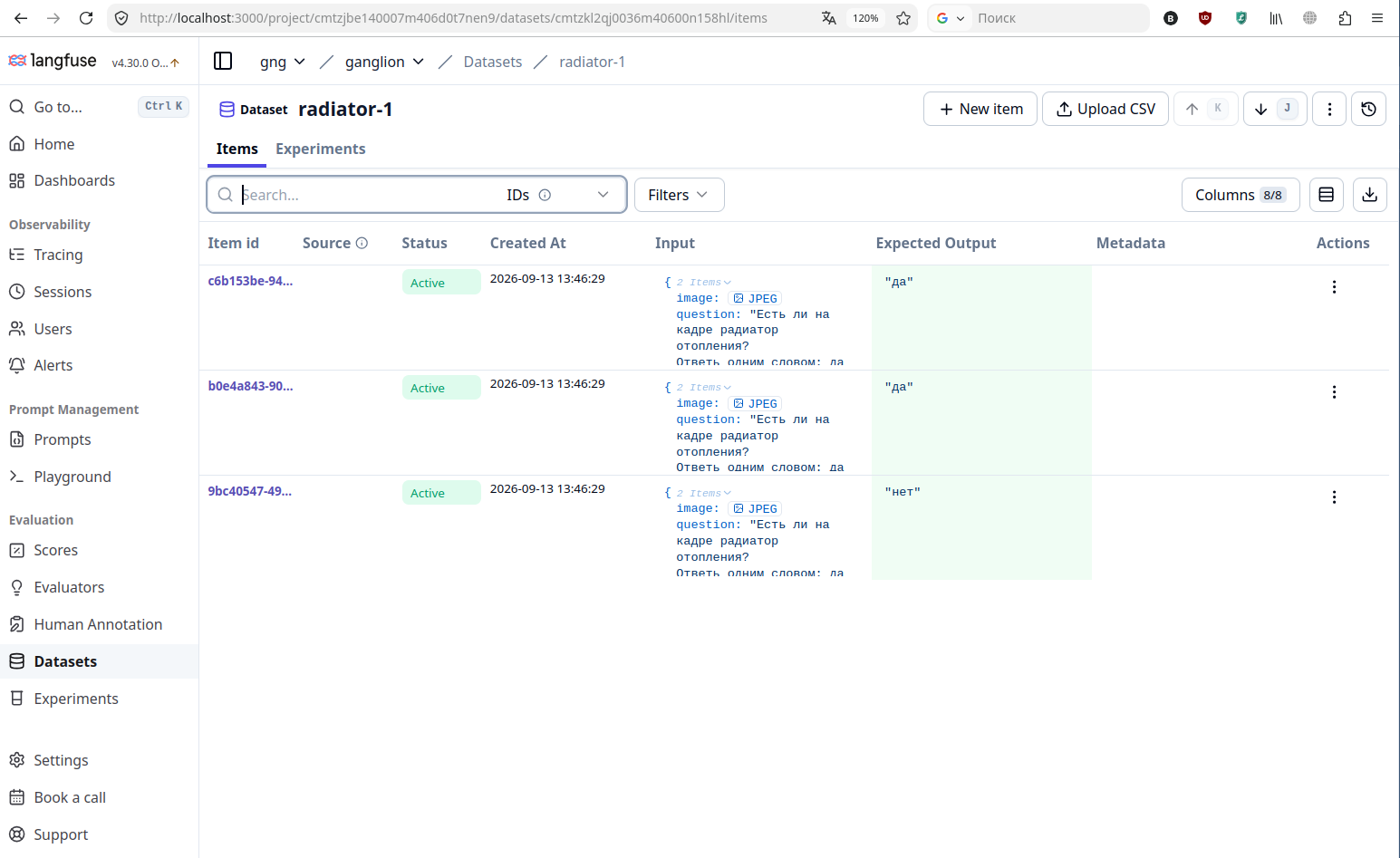 Langfuse: dataset