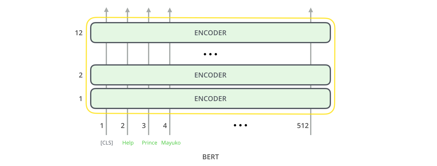 bert-encoders-input