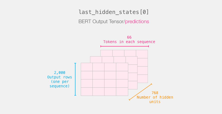 bert-output-tensor