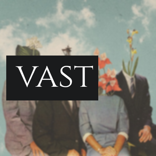 Что такое VAST