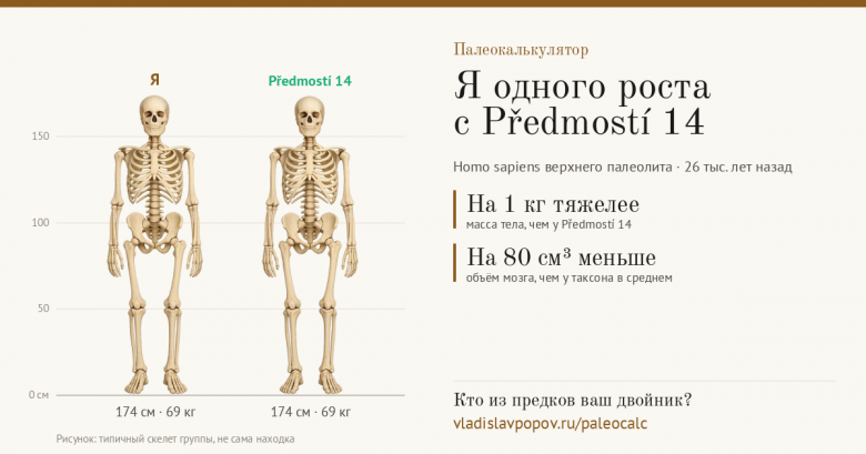 Сравнение с одним из сотен найденных древних людей