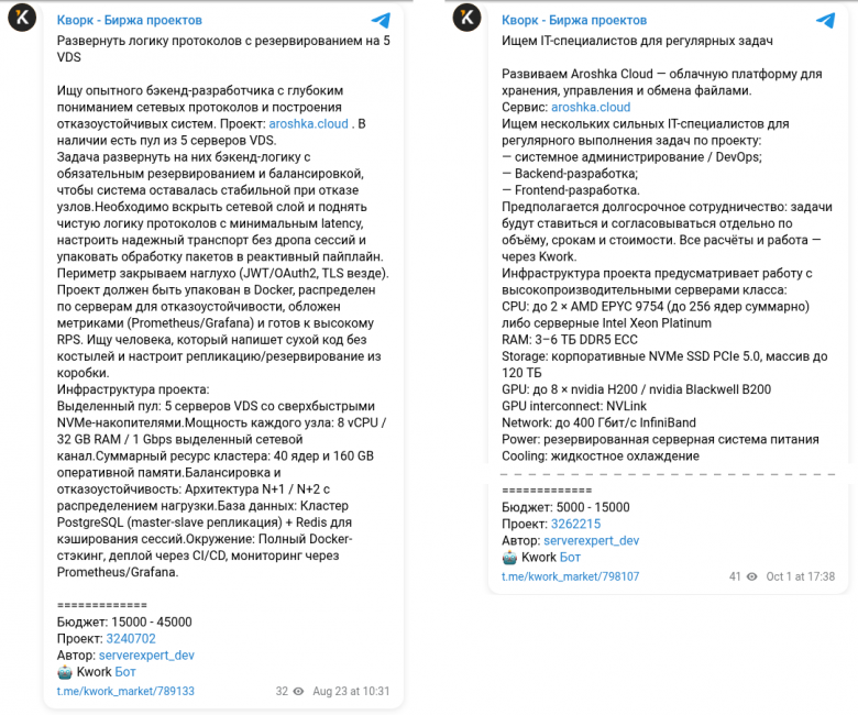 Два заказа serverexpert_dev на Kwork: пул из 5 VDS в августе и до 8 видеокарт H200 в октябре