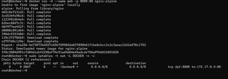 Проверка правил DNAT в iptables: автоматическая настройка проброса портов в цепочке DOCKER для веб-сервера nginx.