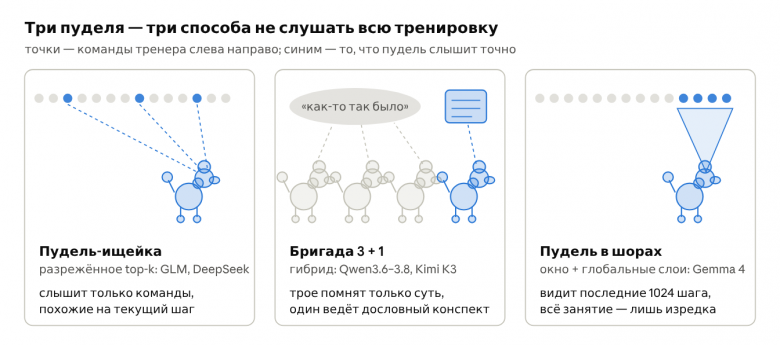 те же три семейства на пуделях · иллюстрация, не масштаб