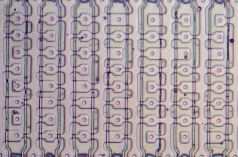 A close-up of the microcode ROM under the microscope. A transistor is formed where a vertical polysilicon line crosses doped silicon (pink). The 8087's ROM is unusual: it uses four transistor sizes, so it stores two bits per transistor, twice the density of a regular ROM.