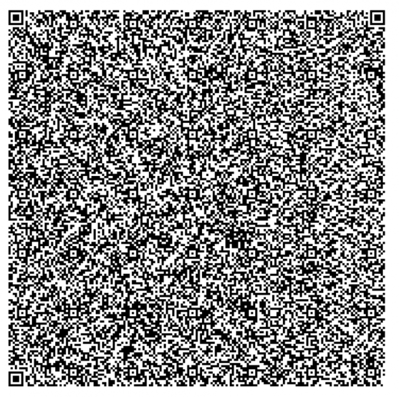 QR-код самого большого размера больше похож на ненастроенный телевизор QR-код самого большого размера больше похож на ненастроенный телевизор