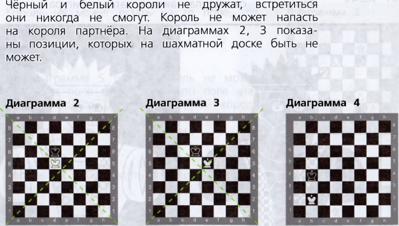 «Шахматная академия»