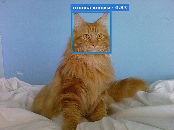 Рамка вокруг головы кошки