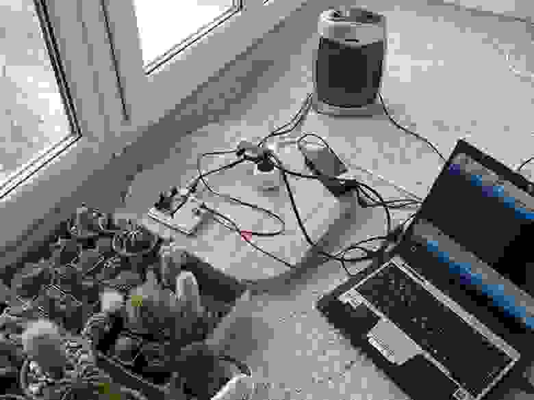 фотография зимовника кактусов с контролем температуры на Arduino