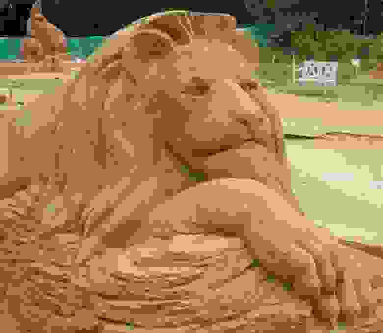 Песчаный царь зверей взирает на посетителей, с достоинством положив голову на огромные лапы