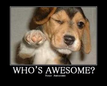 Who&#39;s awesome? You&#39;re awesome!