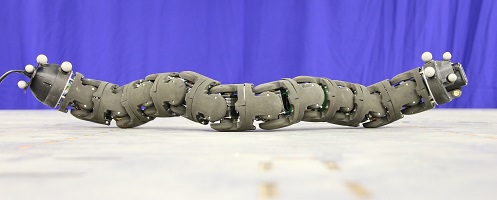 Змеевидный робот &laquo;Змеелок-3М&raquo; &mdash; ЦНИИ РТК