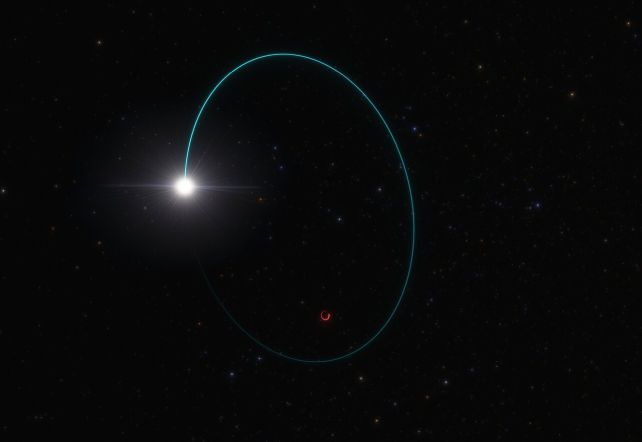 Как художник представляет себе звезду на орбите вокруг чёрной дыры