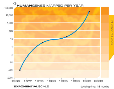 Количество человеческих генов, исследованных за год