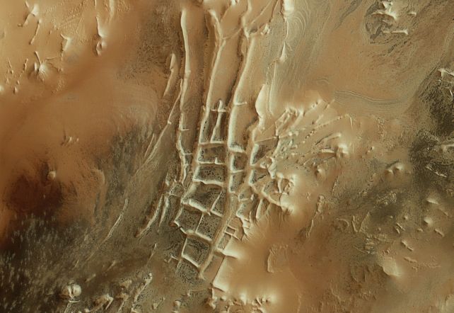  Город инков на Марсе, снятый аппаратом Mars Express. Если присмотреться, можно увидеть тёмные пятна, в которых скрываются «пауки».