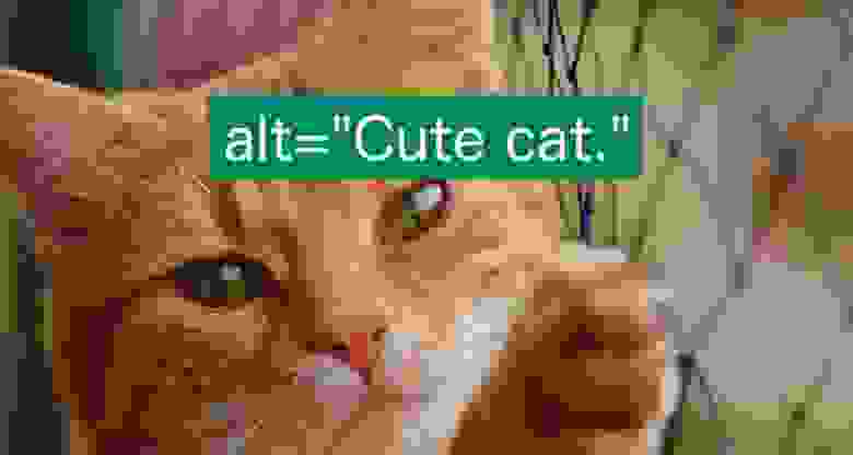 Здесь изображение котика с атрибутом alt=«Милый котик».