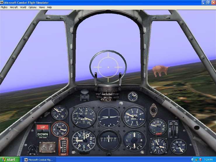 Неопознанная летающая свинка в Microsoft Combat Flight Simulator