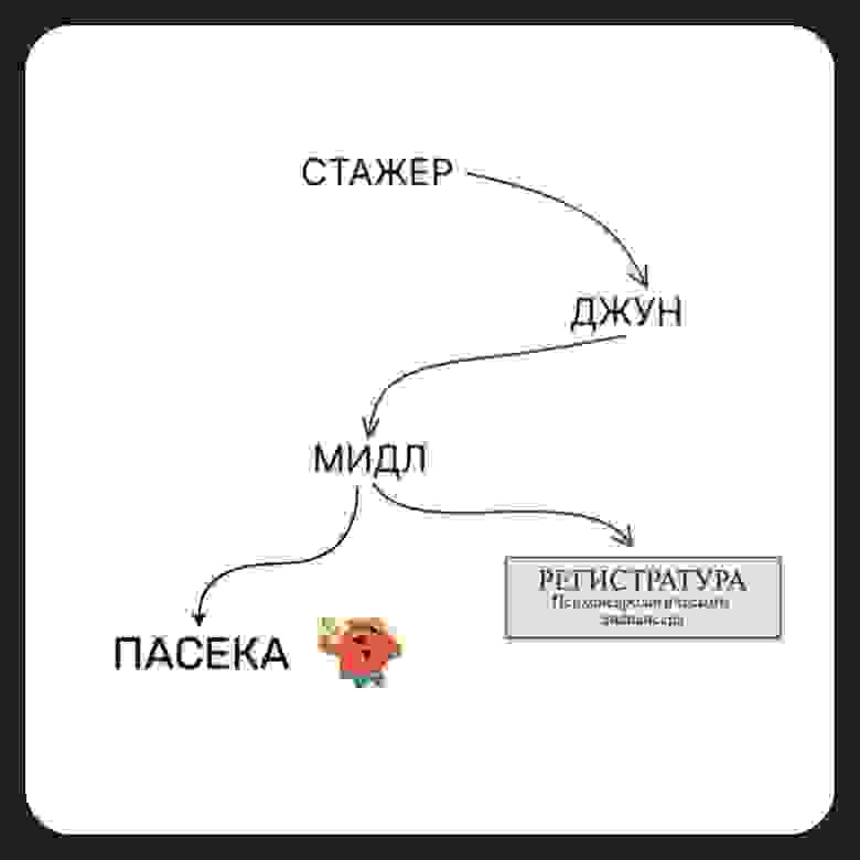 Есть только две развилки...