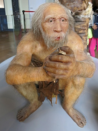 Одна из современных реконструкций данного неандертальца.