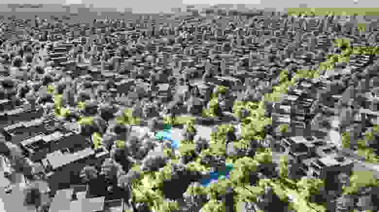 Sharjah forest district