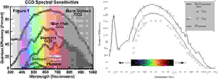 Спектры чувствительности CCD и CMOS матриц. Источники от производителей фотоматриц: Hamamatsu для CCD и Teledyne для CMOS