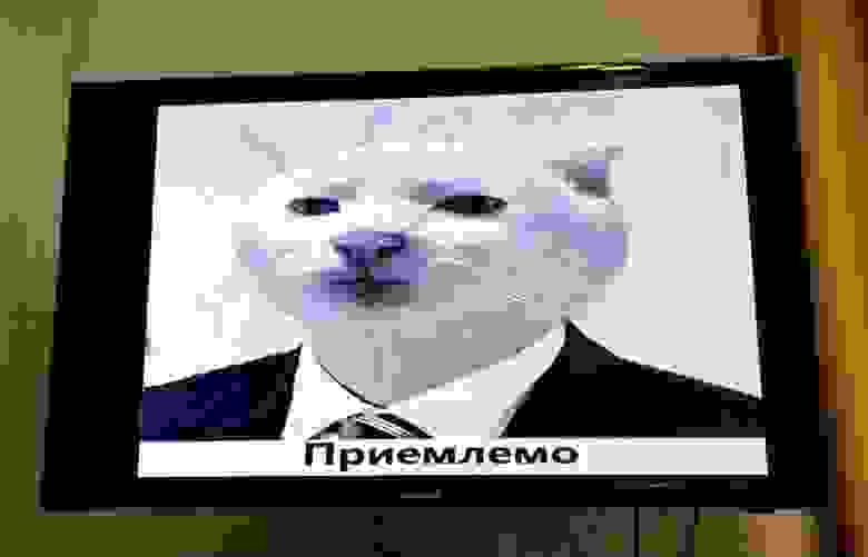 Кот Кот